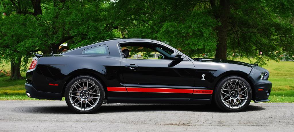 Name:  DSC_0953_zpsc864788d.jpg
Views: 111
Size:  93.9 KB