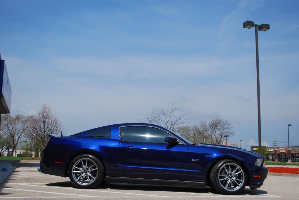 Name:  DSC_0313.jpg
Views: 95
Size:  58.9 KB