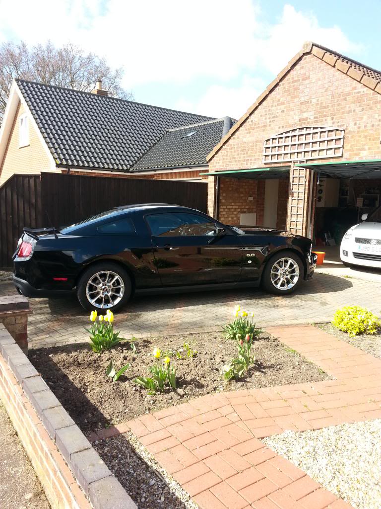 Name:  20130430_153508_zpsad62259c.jpg
Views: 68
Size:  158.5 KB