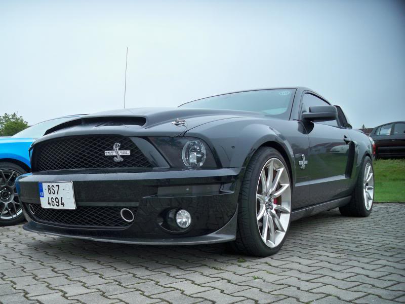 Name:  Blacksupersnake.jpg
Views: 66
Size:  60.3 KB