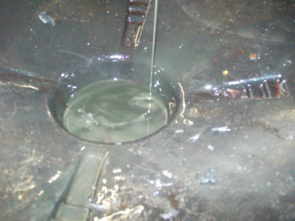 Name:  100_1031-1.jpg
Views: 50
Size:  191.8 KB