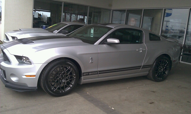 Name:  2014Shelby3_zps25aabcbc.jpg
Views: 44
Size:  201.6 KB