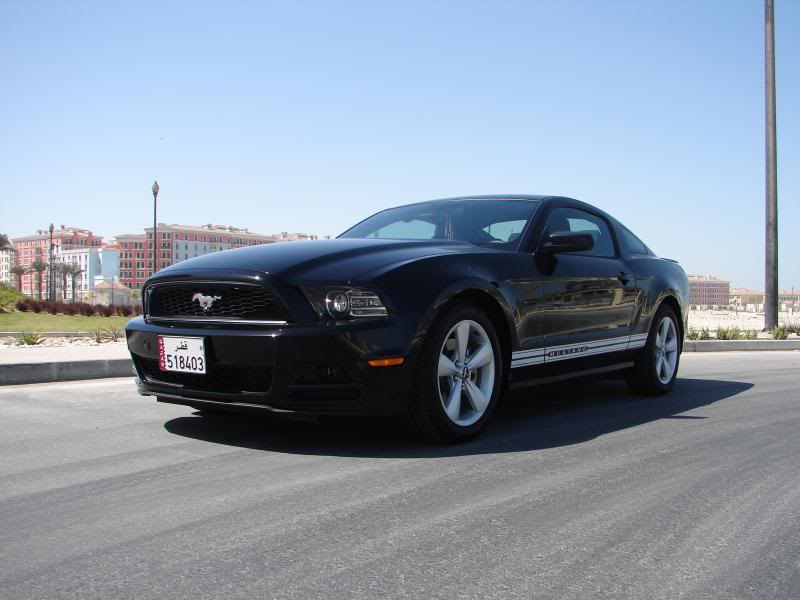 Name:  DSC09689.jpg
Views: 75
Size:  51.6 KB