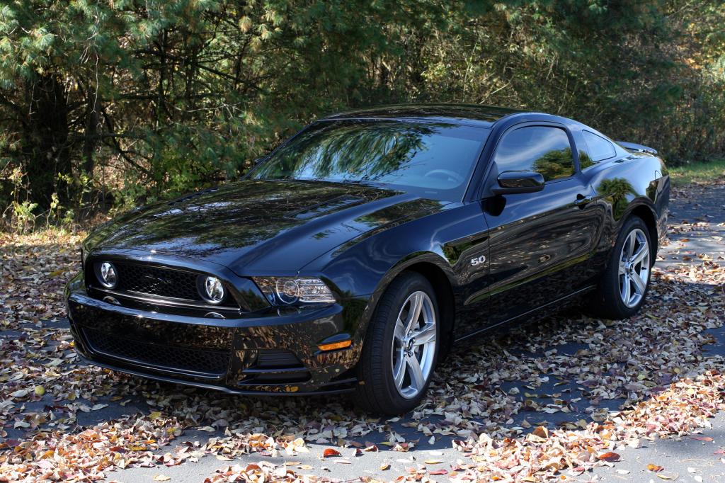 Name:  RPM_5285edit_zps27330059.jpg
Views: 84
Size:  180.7 KB