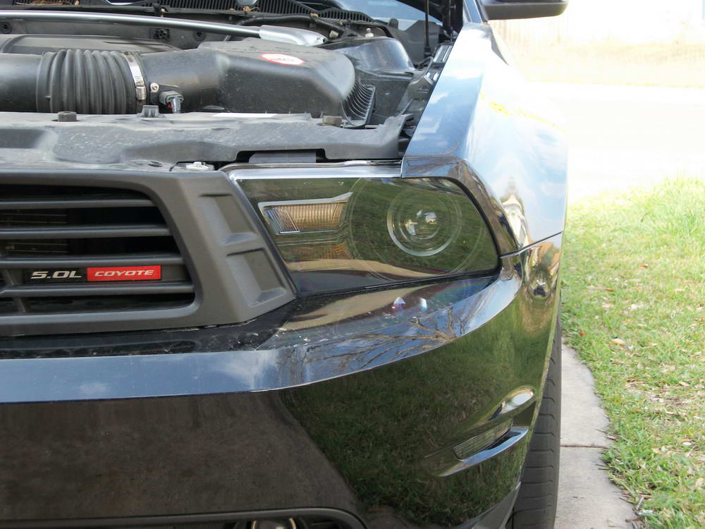 Name:  100_0397.jpg
Views: 86
Size:  119.9 KB