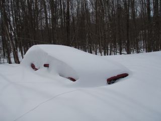 Name:  SnowyMustang_zpscd840b98.jpg
Views: 41
Size:  13.5 KB