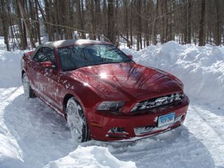 Name:  CleanedOffMustang_zpsa9e2e4fb.jpg
Views: 43
Size:  22.2 KB