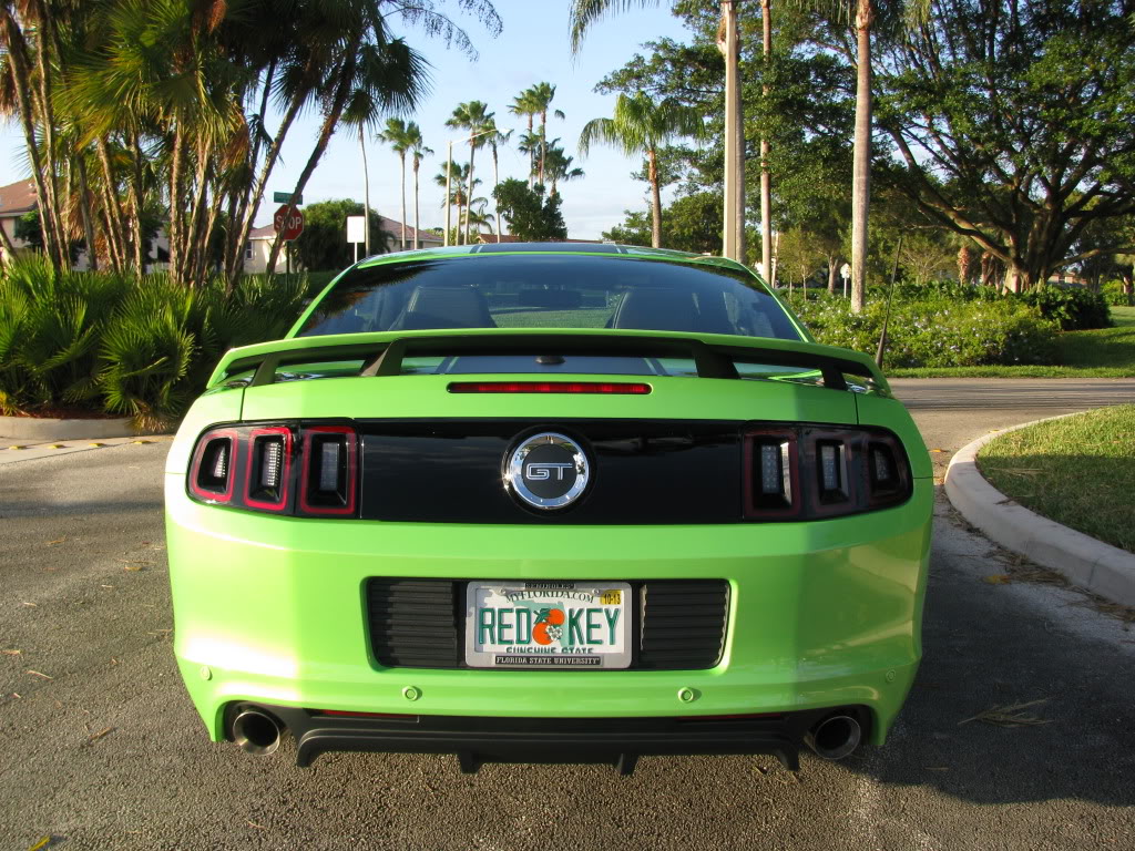 Name:  IMG_8233.jpg
Views: 317
Size:  235.0 KB