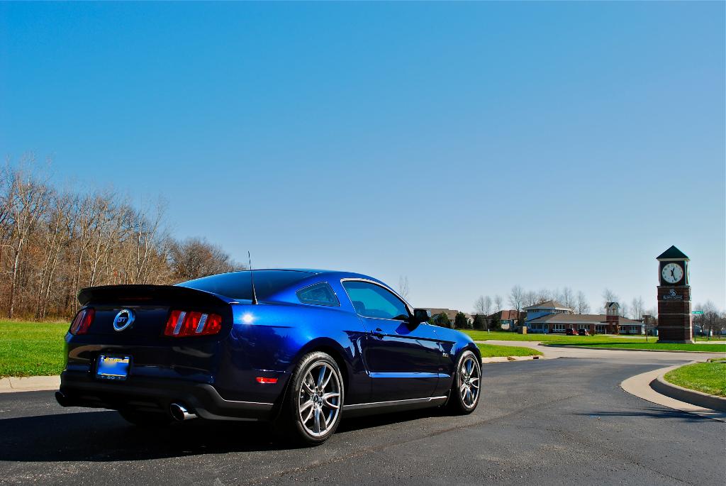 Name:  robin1.jpg
Views: 97
Size:  84.0 KB