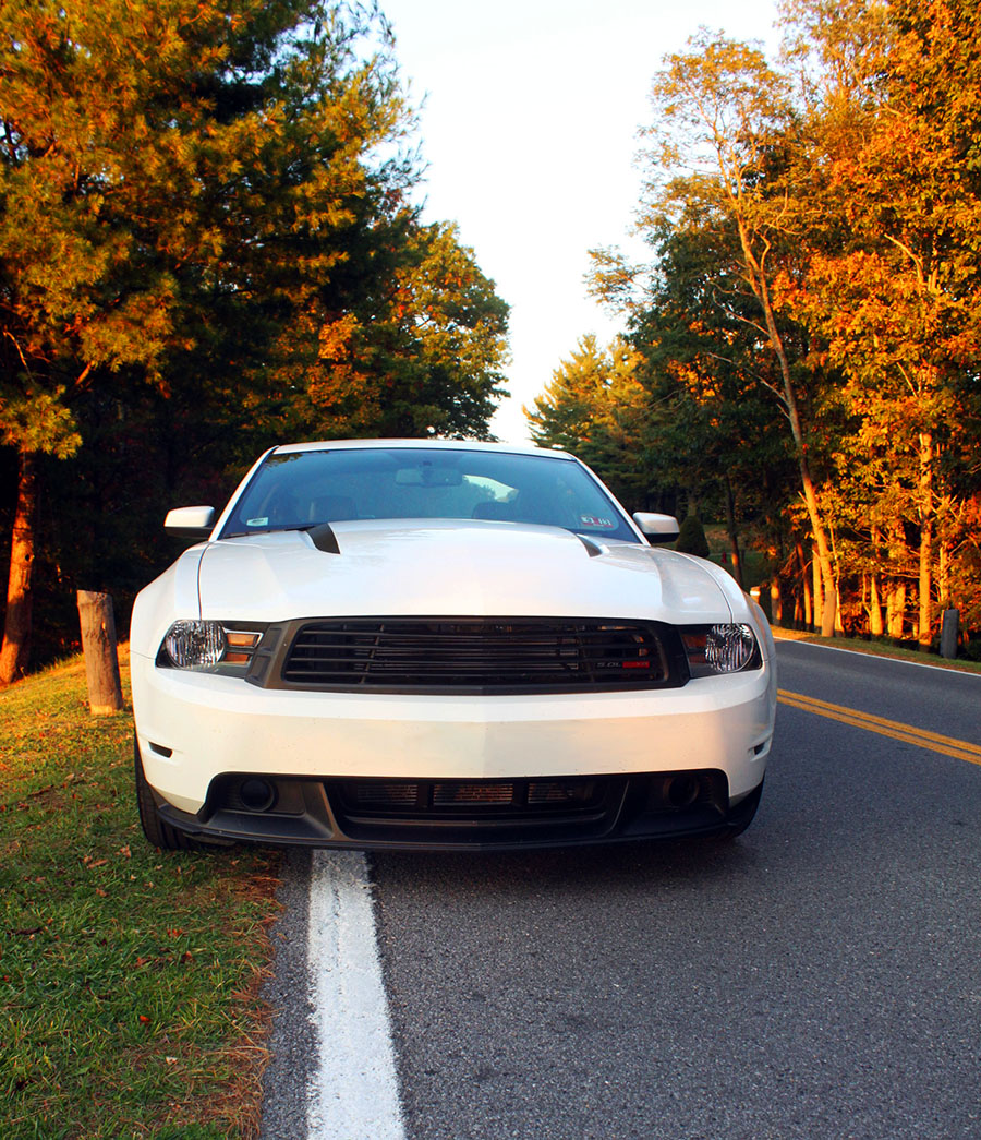 Name:  pipestem3-1.jpg
Views: 184
Size:  382.7 KB