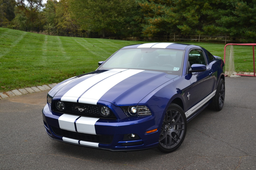 Name:  DSC_0039.jpg
Views: 297
Size:  208.8 KB