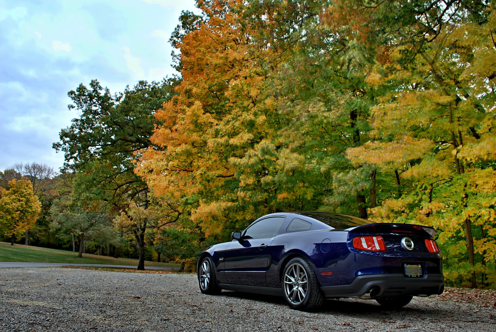 Name:  pali1a.jpg
Views: 196
Size:  236.0 KB