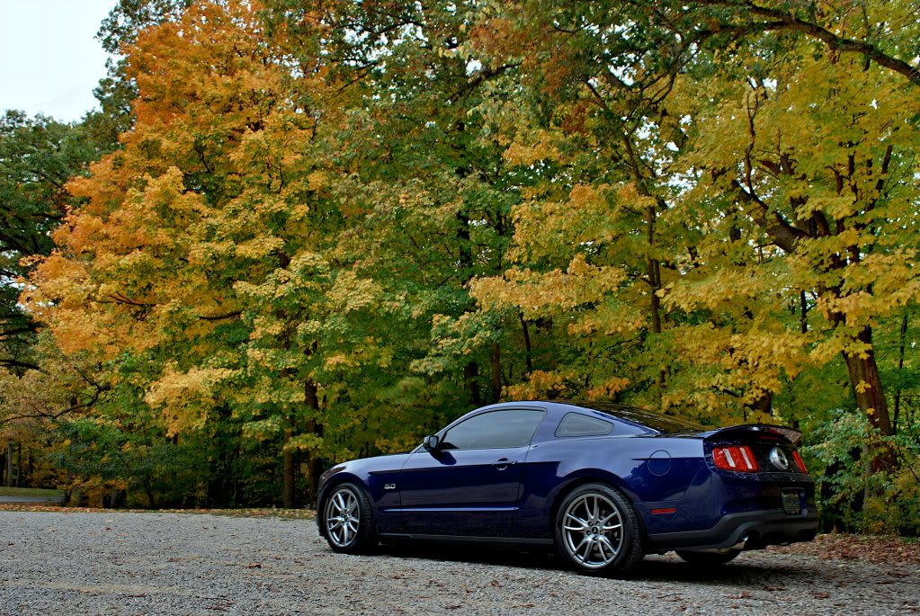 Name:  pali2a.jpg
Views: 183
Size:  250.9 KB