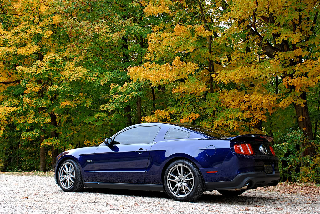 Name:  pali3a-non.jpg
Views: 176
Size:  313.9 KB