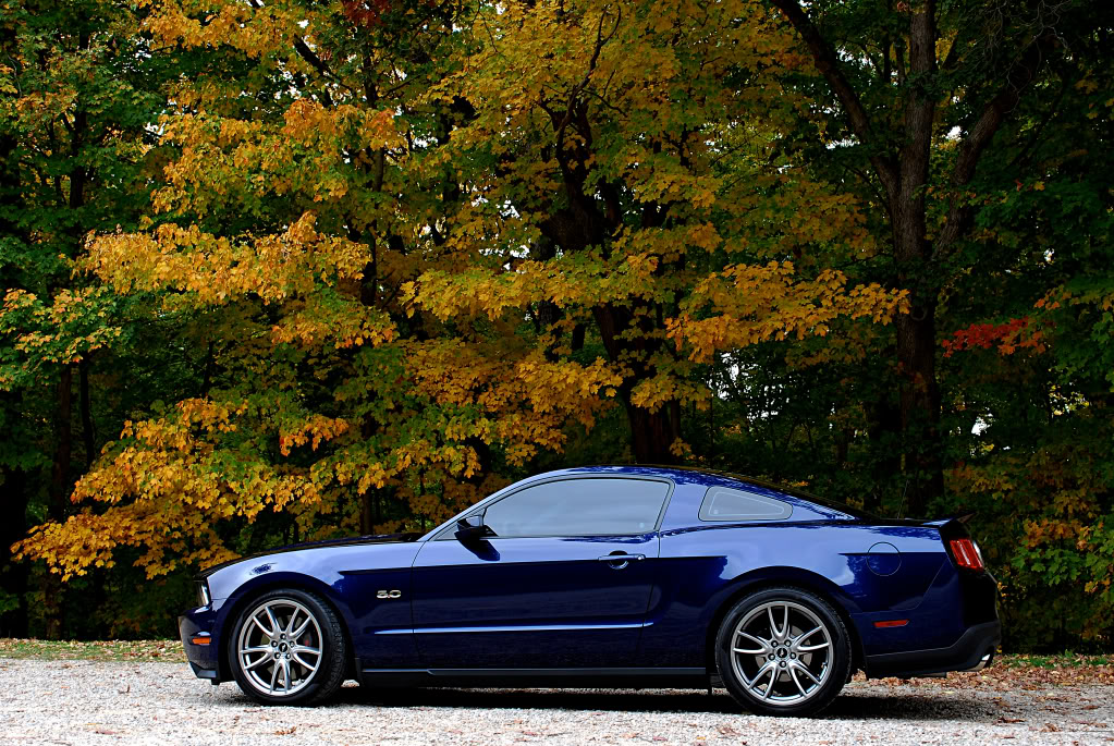 Name:  pali4a-pseudo.jpg
Views: 204
Size:  288.2 KB