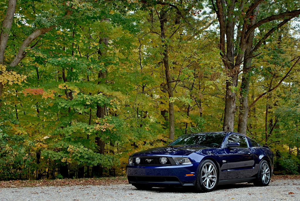 Name:  pali5b-semi.jpg
Views: 186
Size:  308.6 KB