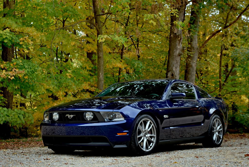 Name:  pali6a-semi.jpg
Views: 184
Size:  204.7 KB