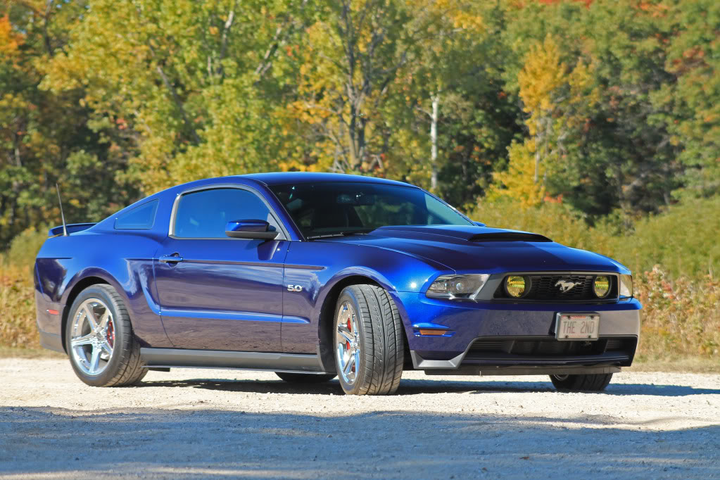 Name:  IMG_1505EDITED.jpg
Views: 173
Size:  162.4 KB