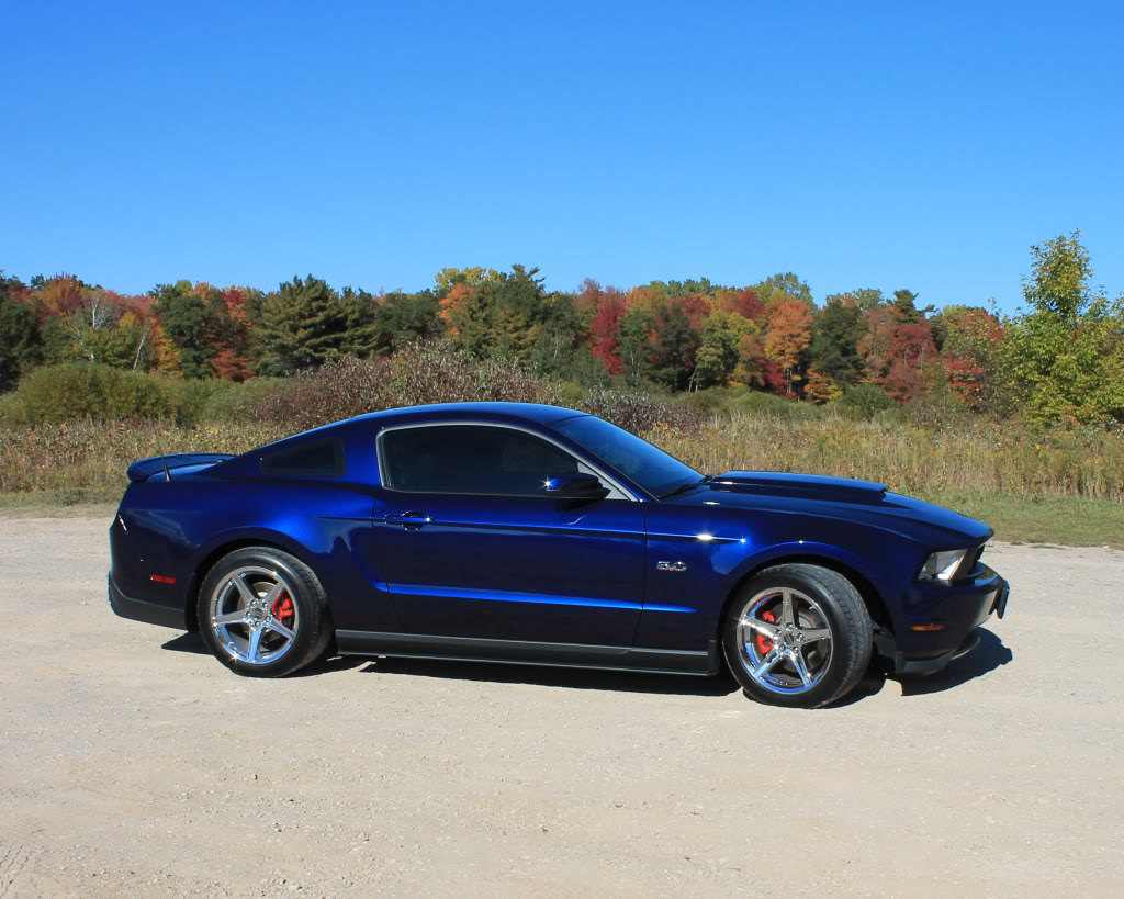 Name:  IMG_1500CROP.jpg
Views: 177
Size:  151.8 KB