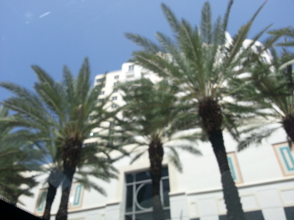 Name:  20120807_151739.jpg
Views: 226
Size:  235.0 KB