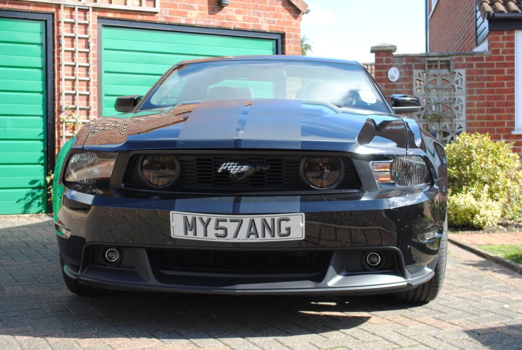 Name:  DSC_1127.jpg
Views: 244
Size:  228.2 KB