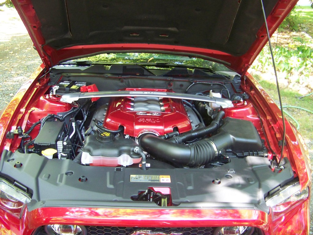 Name:  13Mustangenginecover007.jpg
Views: 335
Size:  245.3 KB