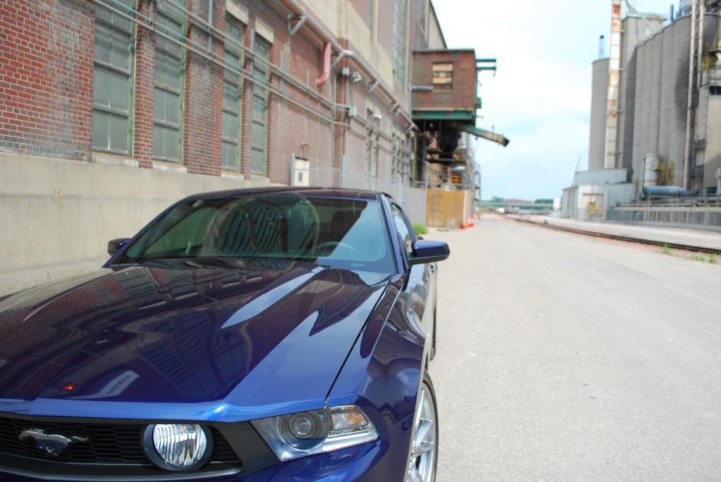 Name:  DSC_0103-1.jpg
Views: 203
Size:  90.2 KB