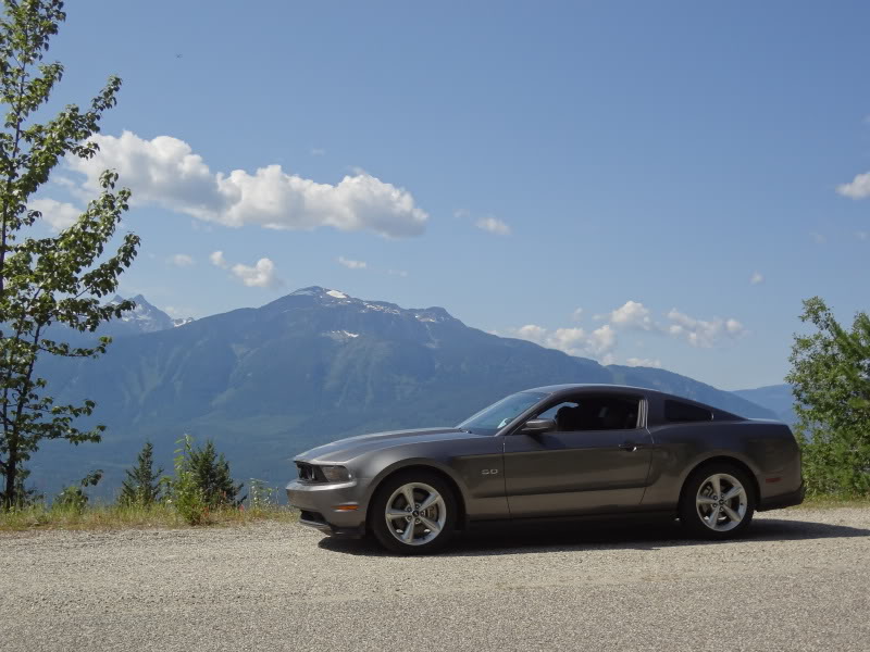 Name:  DSC00992.jpg
Views: 494
Size:  86.1 KB