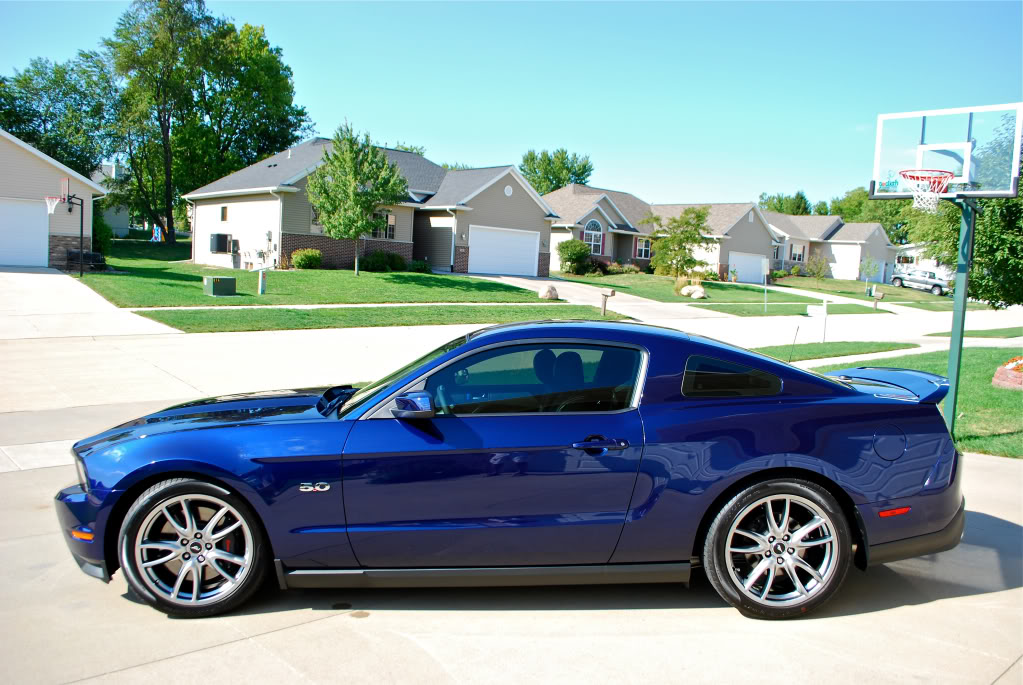 Name:  black1.jpg
Views: 463
Size:  155.1 KB