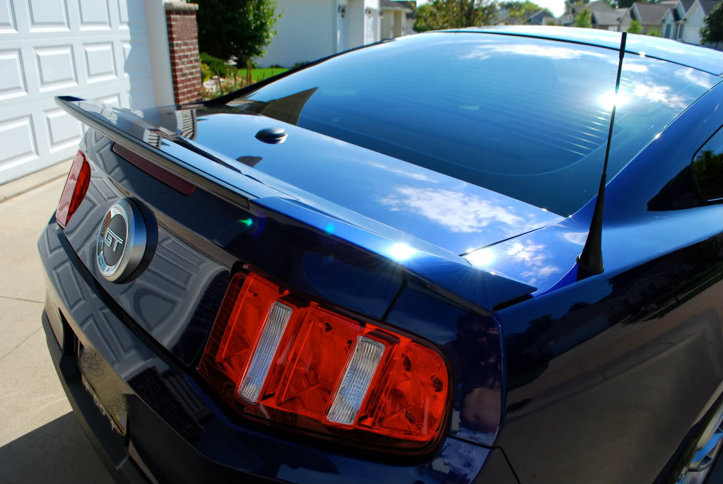 Name:  black5.jpg
Views: 435
Size:  104.0 KB