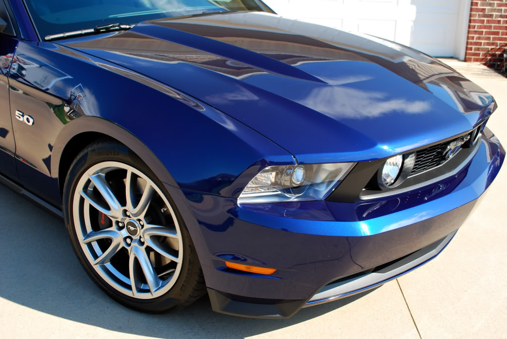 Name:  black6.jpg
Views: 446
Size:  121.6 KB