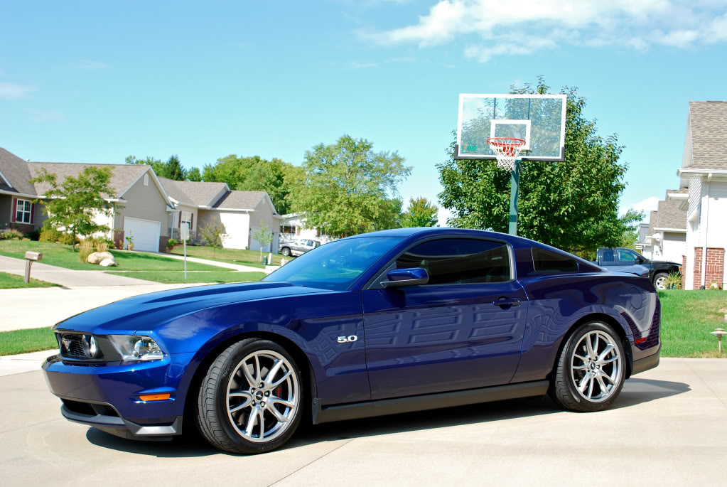 Name:  black7.jpg
Views: 450
Size:  143.6 KB