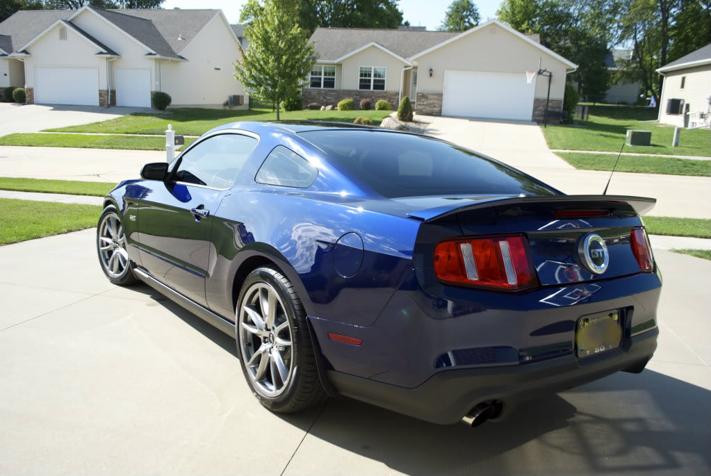 Name:  black8.jpg
Views: 437
Size:  110.0 KB