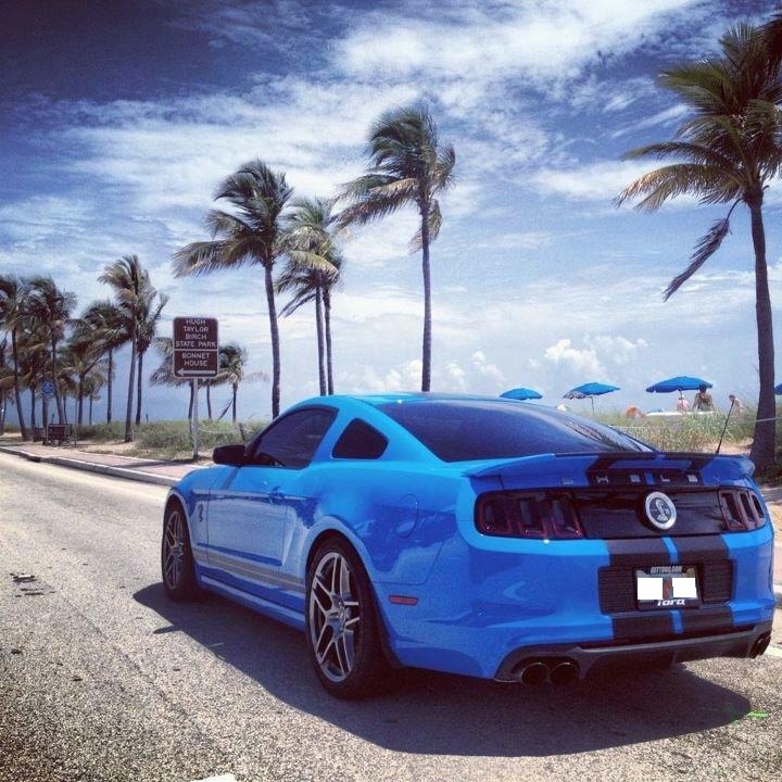 Name:  373957_10150991223788660_1156832463_n.jpg
Views: 511
Size:  190.4 KB