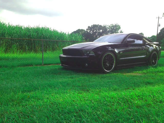 Name:  photo-3-1.jpg
Views: 508
Size:  87.2 KB