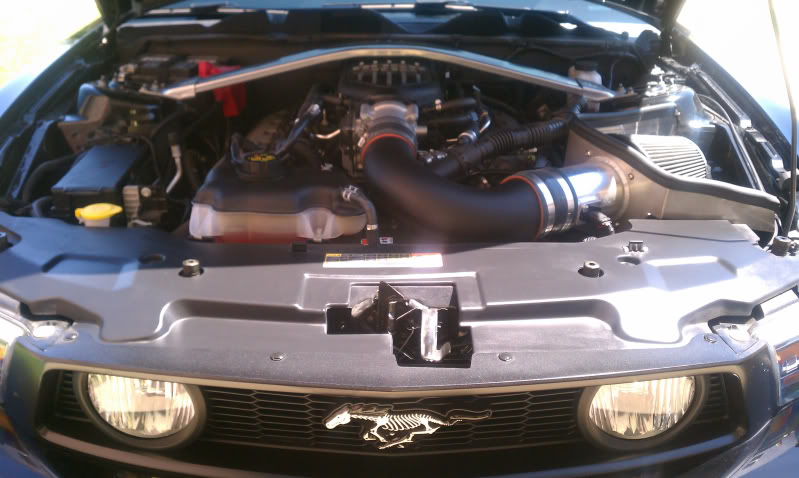 Name:  c4bfe7c3.jpg
Views: 770
Size:  69.6 KB
