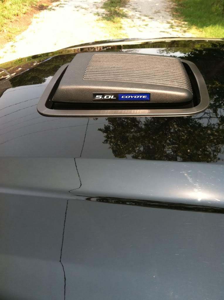 Name:  9327cfab.jpg
Views: 48
Size:  85.7 KB