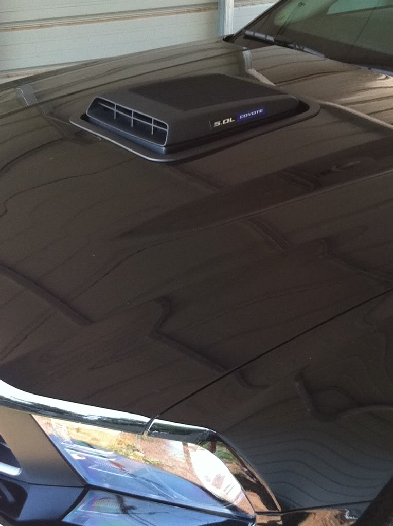 Name:  0eea2b4a.jpg
Views: 39
Size:  80.0 KB