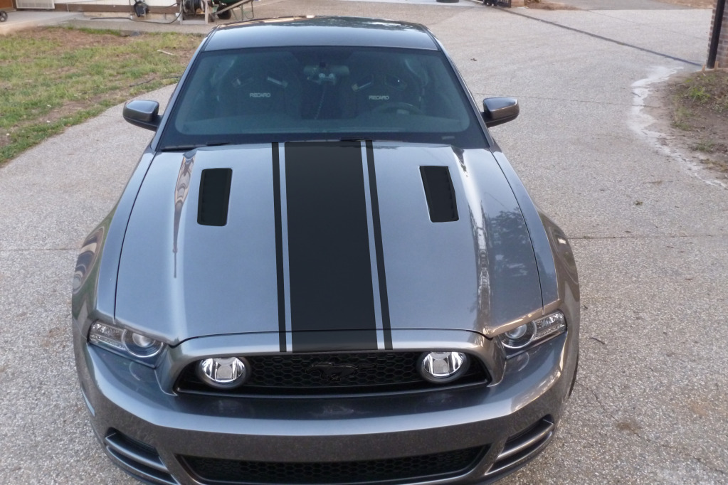 Name:  blackedoutstripejusthood.jpg
Views: 205
Size:  227.9 KB