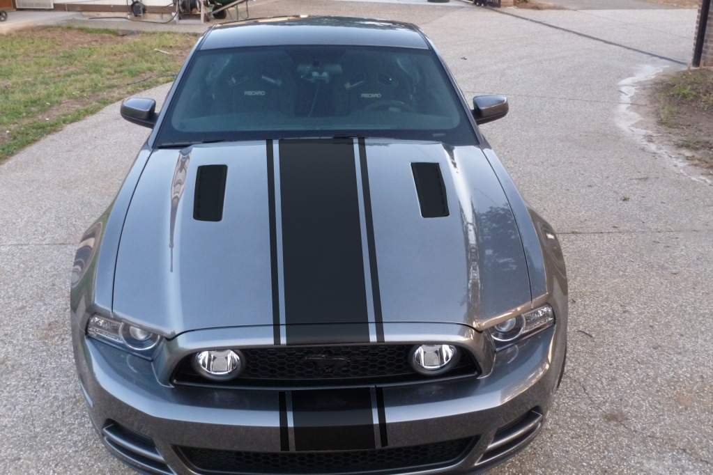Name:  blackedoutstripedhoodandbumperonly.jpg
Views: 164
Size:  224.8 KB