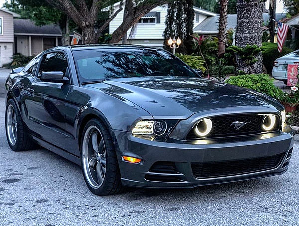 2010-2014 Ford Mustang S-197 Gen II Lets see your latest Pics PHOTO GALLERY-30582049_201884877253562_7233750667733499904_o.jpg