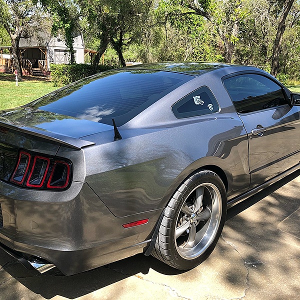 2010-2014 Ford Mustang S-197 Gen II Lets see your latest Pics PHOTO GALLERY-30171059_2145676345661684_5767062997680174224_o.jpg