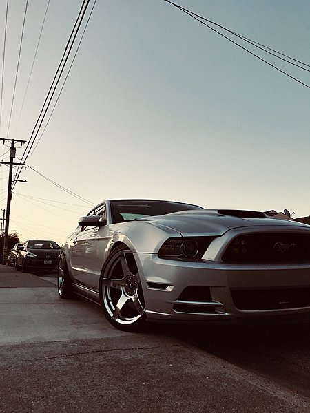 2010-2014 Ford Mustang S-197 Gen II Lets see your latest Pics PHOTO GALLERY-photo43.jpg