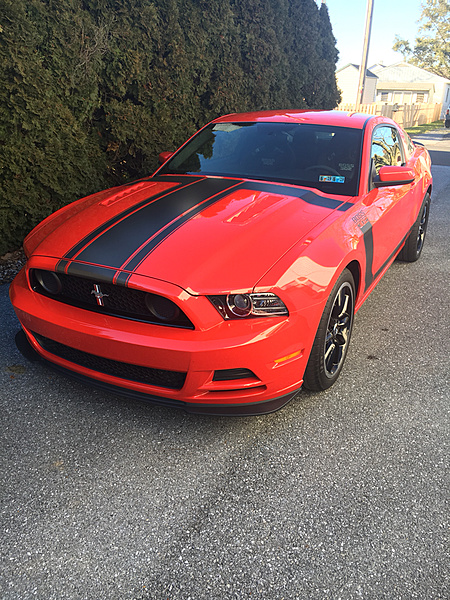 2010-2014 Ford Mustang S-197 Gen II Lets see your latest Pics PHOTO GALLERY-photo787.jpg