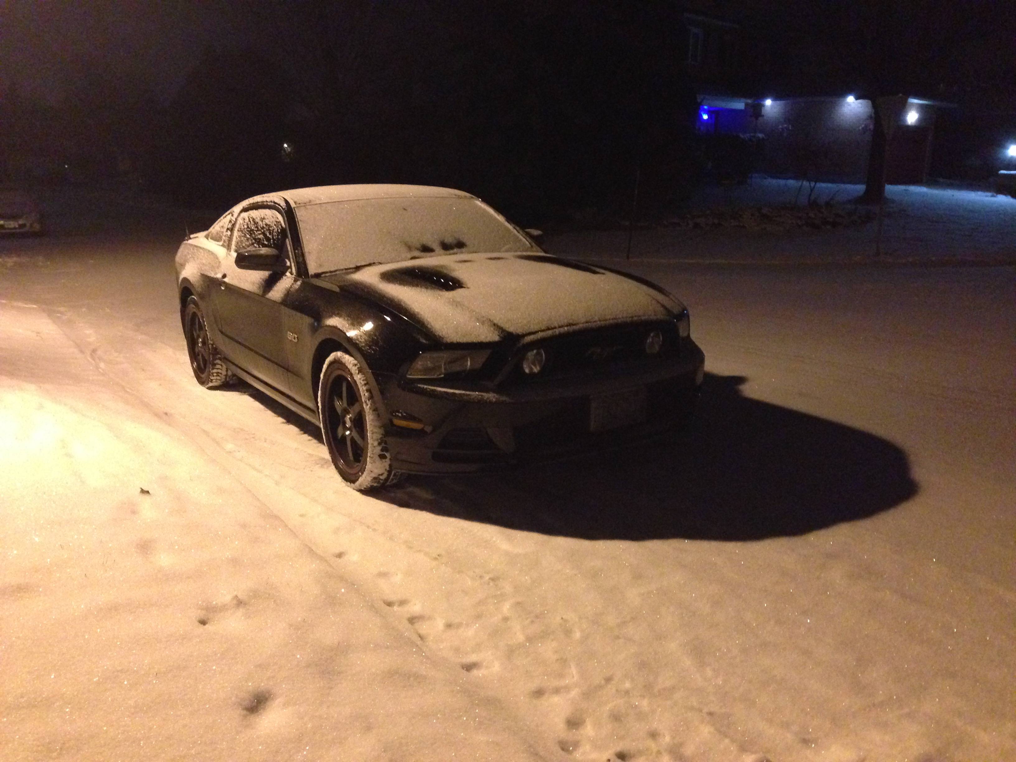 Name:  flaggTP.jpg
Views: 15
Size:  525.0 KB