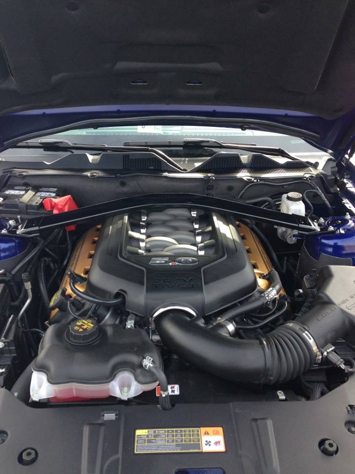 Name:  wcfDgWW.jpg
Views: 25
Size:  78.7 KB