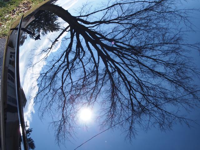 Name:  AYCr8lq.jpg
Views: 16
Size:  69.8 KB