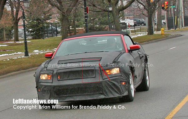 2010 cobra shot!! NO april fools on this one-cobra.jpg