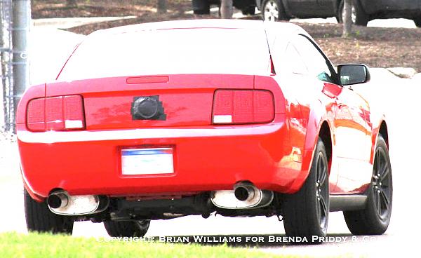 2010 Mustang engine mule spied-ford-mustang-5-2.jpg