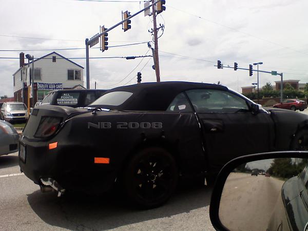 Caught this Driving Around Town-mustang3.jpg